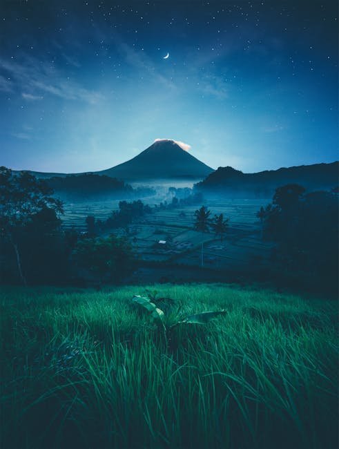 “Star-Bathing”: The Celestial Wellness Trend Illuminating 2025